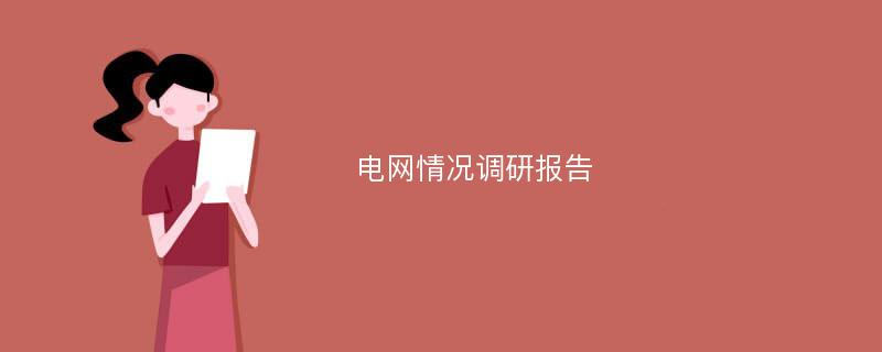 电网情况调研报告