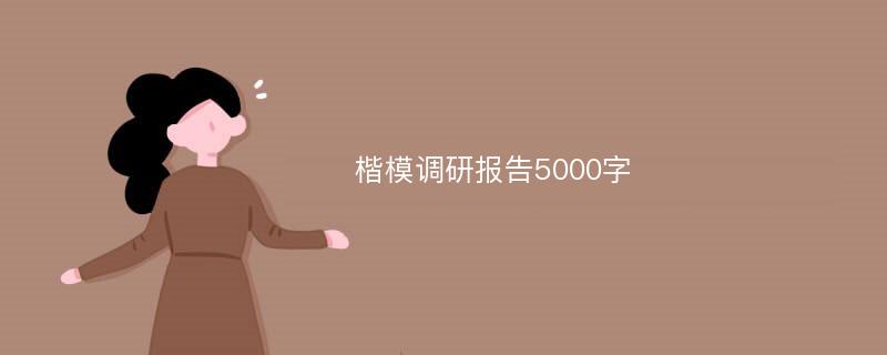 楷模调研报告5000字