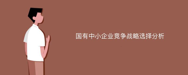 国有中小企业竞争战略选择分析