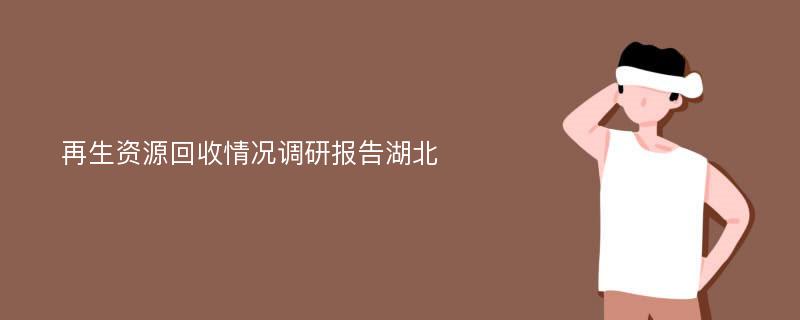 再生资源回收情况调研报告湖北