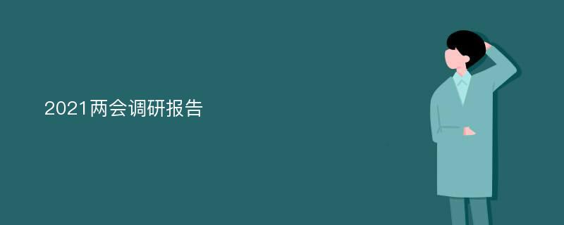 2021两会调研报告