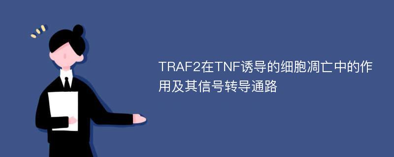 TRAF2在TNF诱导的细胞凋亡中的作用及其信号转导通路