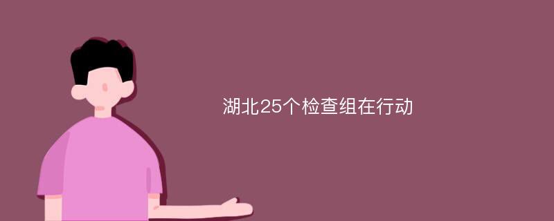 湖北25个检查组在行动