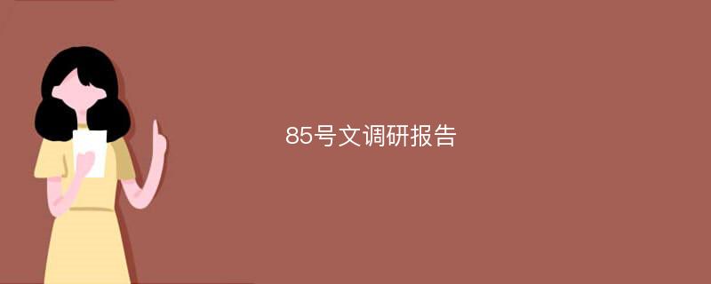 85号文调研报告