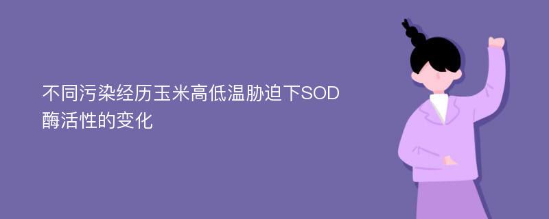 不同污染经历玉米高低温胁迫下SOD酶活性的变化