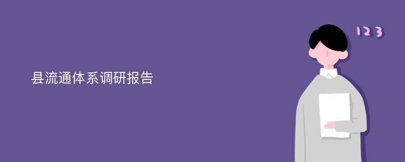 县流通体系调研报告