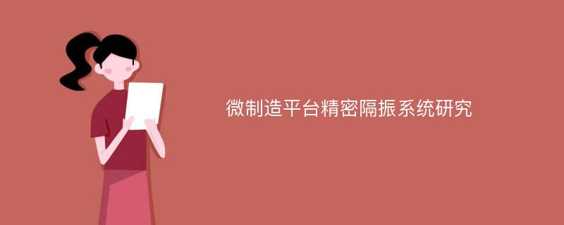 微制造平台精密隔振系统研究