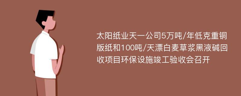 太阳纸业天一公司5万吨/年低克重铜版纸和100吨/天漂白麦草浆黑液碱回收项目环保设施竣工验收会召开