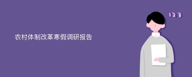 农村体制改革寒假调研报告