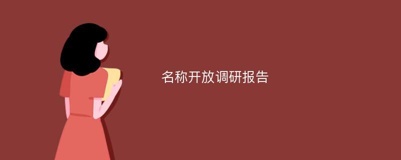 名称开放调研报告