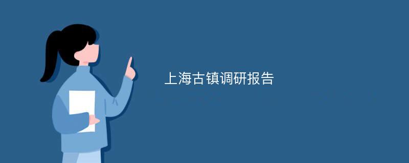 上海古镇调研报告