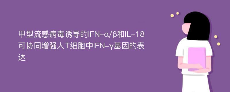 甲型流感病毒诱导的IFN-α/β和IL-18可协同增强人T细胞中IFN-γ基因的表达