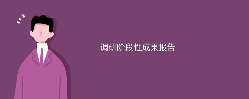 调研阶段性成果报告